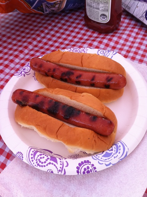 A photo of two hotdogs on a plate